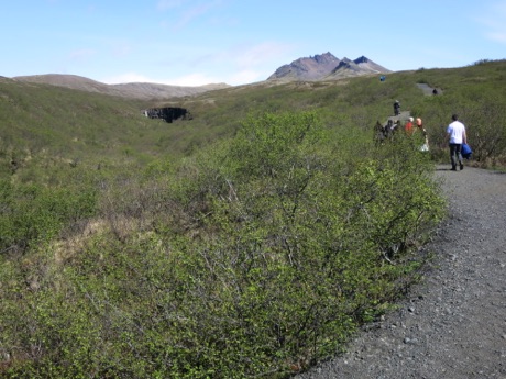 hiking in Skaftafell Nature preserve